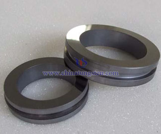 Silicon Carbide Mechanical Seal Ring Picture